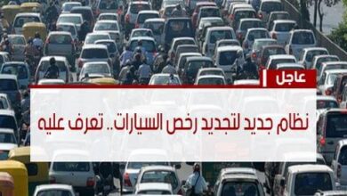 زيادة رخص السيارات