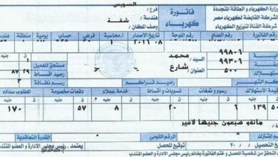 فاتورة الكهرباء