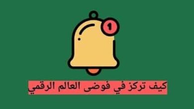 مصيدة التشتت - كتاب فرانسيس بووث