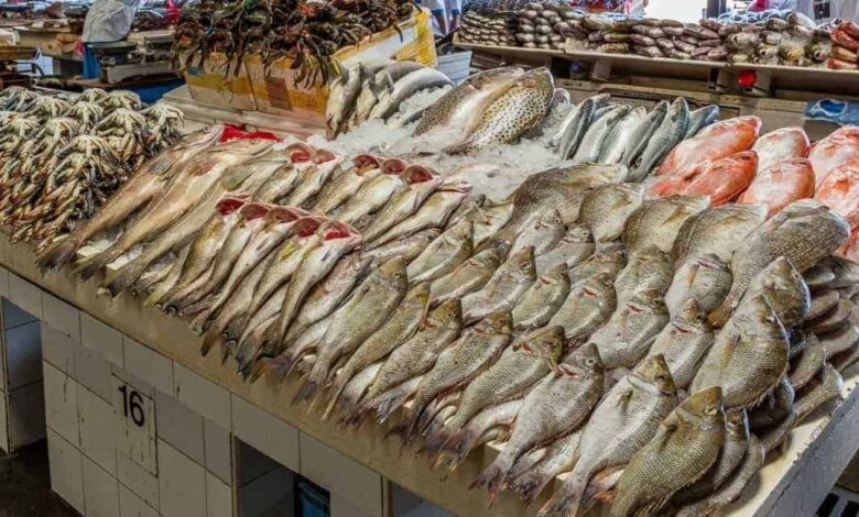 أسعار الأسماك اليوم في سوق العبور